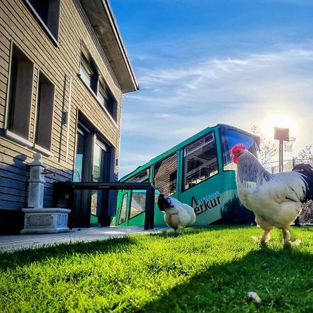 Villa Exklusives Holzhaus Mit Bergbahn - Baden-Baden Im Schwarzwald Exterior foto