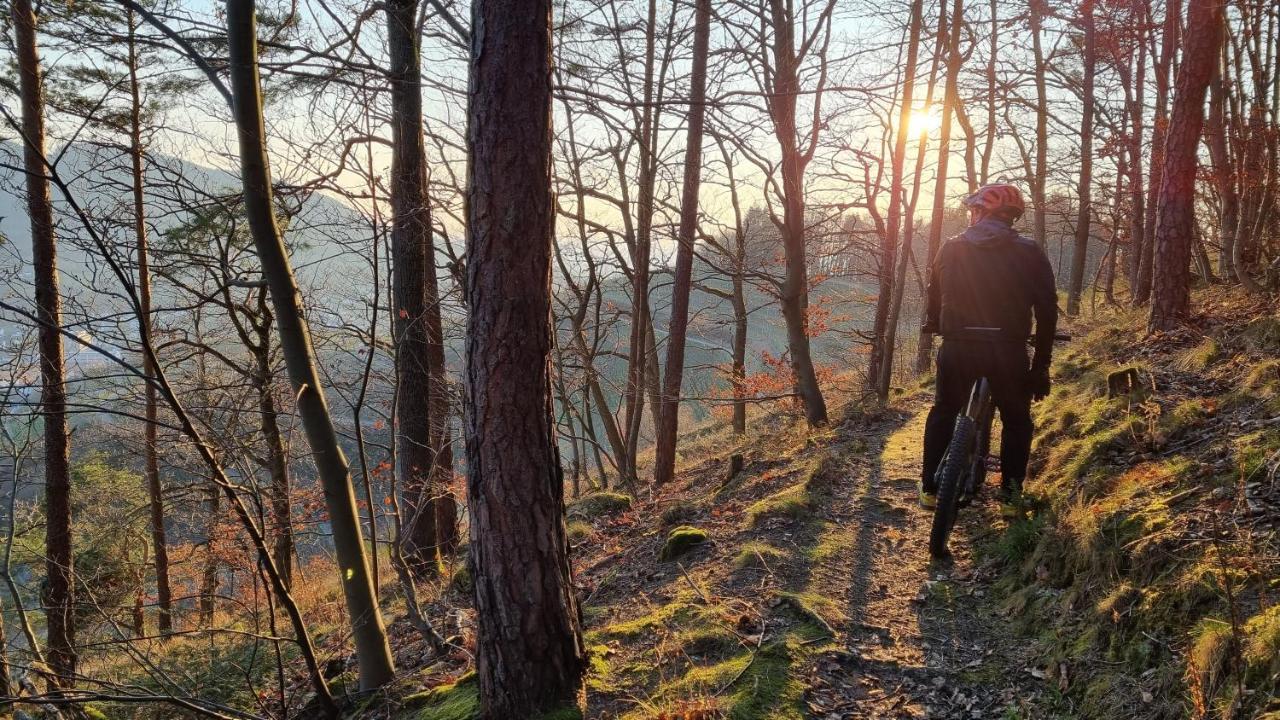 Villa Exklusives Holzhaus Mit Bergbahn - Baden-Baden Im Schwarzwald Exterior foto